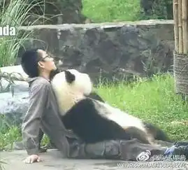 最新一期搞笑图片合集,笑得忍不住发抖哈哈哈哈哈
