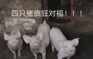 20张搞笑图片,那张让你笑的上气儿不接下气
