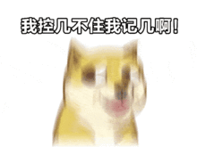 搞笑房子和车都有了,就差媳妇了
