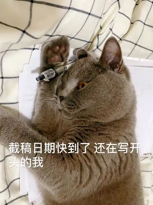 想看看大家的猫咪或狗狗最有趣的照片

