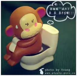 谁能给我点qq表情阿,聊天能用到的,搞笑之类的,猴子之类的最好,加我qq
