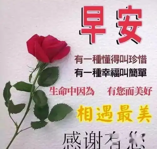 最新超温馨的早上好问候语动态鲜花图片带字最美早安问候温馨图片带字