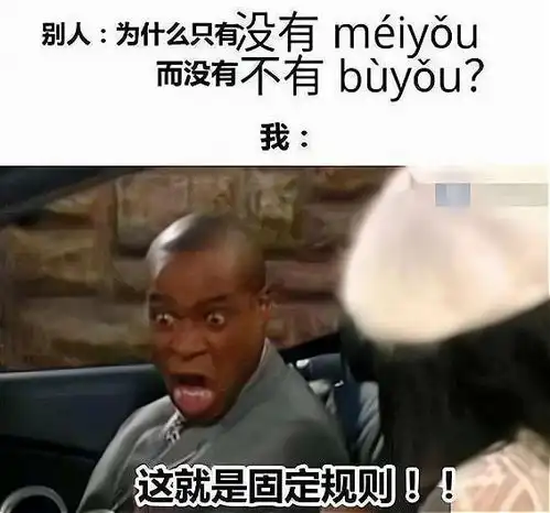 中文到底有多难学外国人用梗图吐槽,原谅我笑出了鹅声
