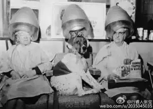 爱美不分伯仲不分年代s31
