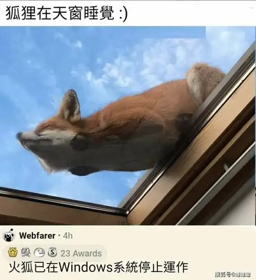 搞笑图片头发的离去是风的拉扯,还是脑袋的不挽留
