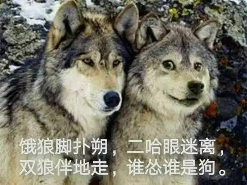 钩火的延禧攻略宇宙究竟炸还是没炸
