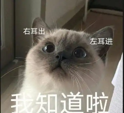 37岁黄正音产后复出产后恢复状态不错,骨盆是体态问题的元凶
