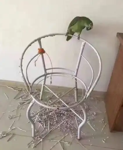 搞笑gif你们两个这样玩结束后脸会不会肿起来
