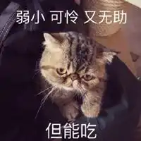 弱小可怜表情包微信头像图片大全
