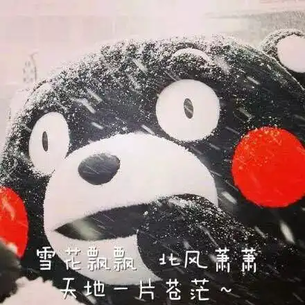 台风要和冷空气搞事情湿冷双击乐清接下来的天气不忍看
