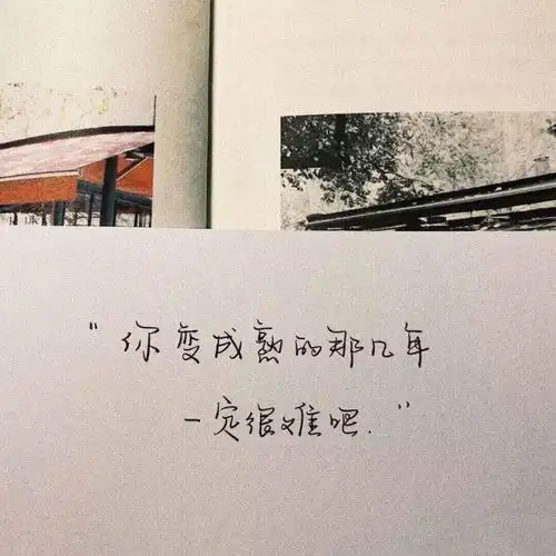 一组好图分享match
