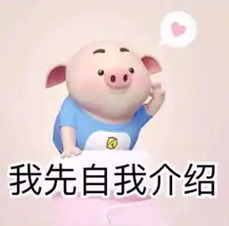 抖音猪猪九宫格图片大全
