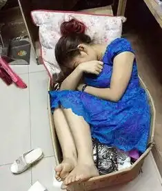 搞笑gif只要有个地方,哪里都是床
