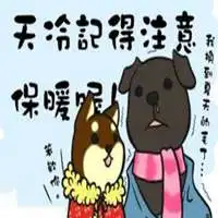天冷加衣表情包微信头像图片大全
