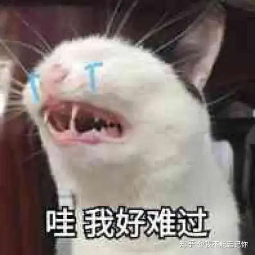 女孩子一个人去外地是一种什么感受
