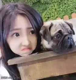 搞笑图片放开那个妹子,不然为师要念金箍咒了
