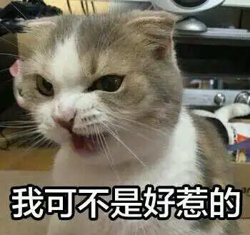 动物表情萌图加文字

