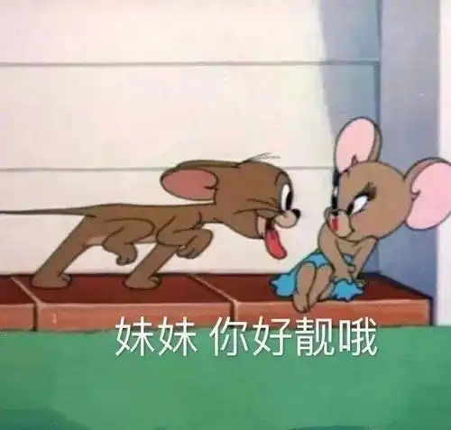 表情包沙雕表情包1508期
