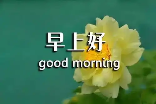 最新早上好图片鲜花带字新的一天早安语精美语句说说
