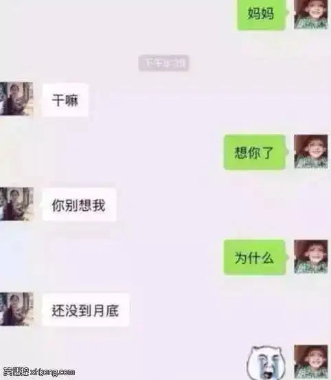 搞笑图片妹子爬这么高,有什么想不开的

