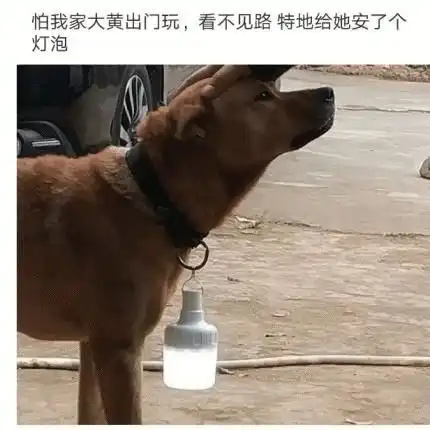 想割个双眼皮,结果割反了我该怎么办哈哈哈哈气死我了
