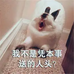 可爱萌宠游戏兔表情包老子游戏菜,嘴巴不菜