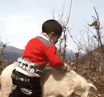 搞笑gif看着就受不了这是一张自带声音的图片
