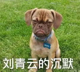 一大票神撞脸版表情包陆续上线啦