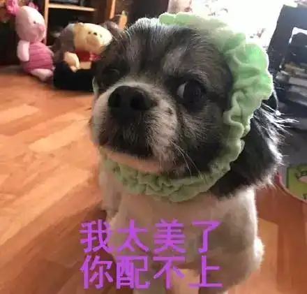 这些狗年限量的设计,是想把我笑成狗吗
