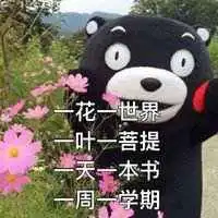 我爱学习学习使我快乐头像微信头像图片大全
