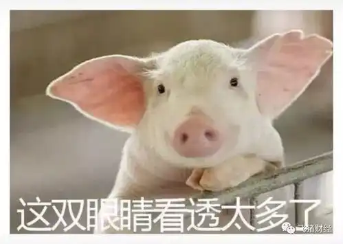 指数放量上涨,个股机会在此
