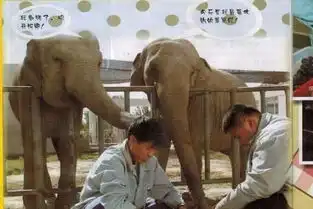 德云社老照片没有烫头的于谦,当保安时的岳云鹏,孙越最搞笑
