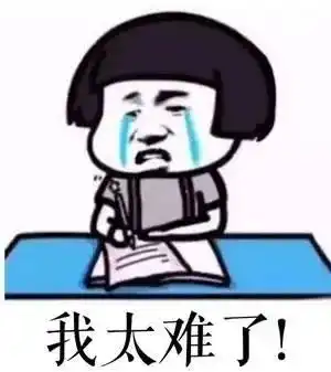 贤妻为男友在岛国生下双胞胎
