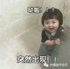 韩国苦笑表情包