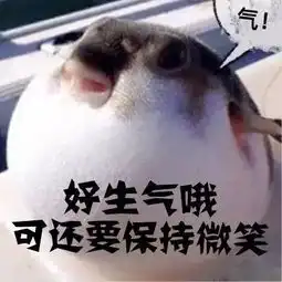 传说中的气炸了,原来竟是这个样子
