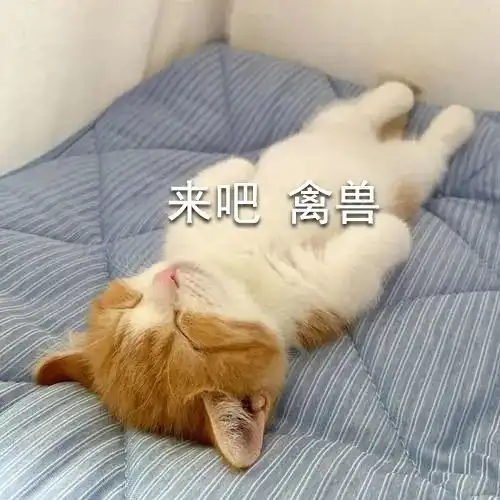 小王子里的宝藏文案
