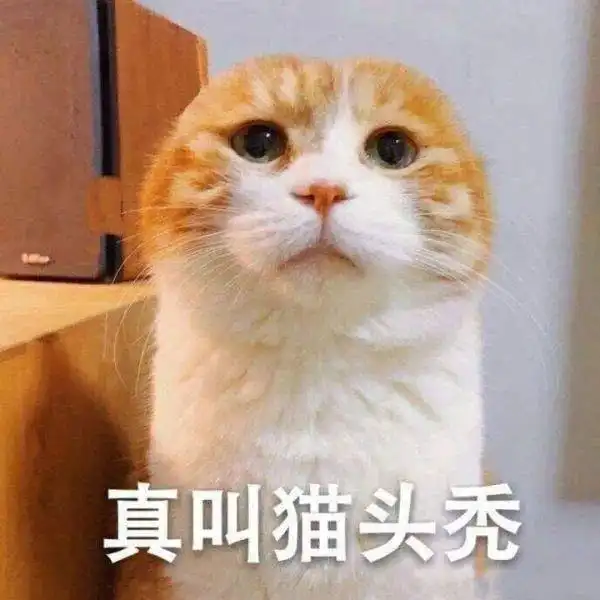 2020最后一波朋友圈搞笑截图曝光,笑抽哈哈哈哈哈哈哈
