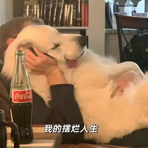 一些很有个性的头像
