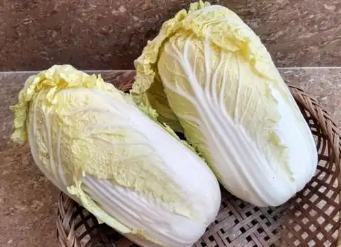 冬天白菜和它是绝配,比牛肉都有营养,怎么吃都不腻
