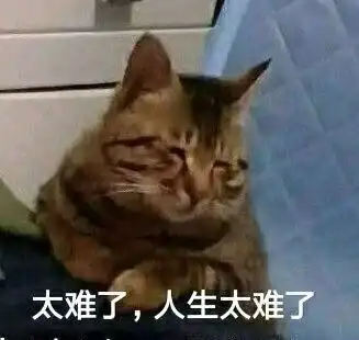 每日欢乐那些傻不拉几的的表情包
