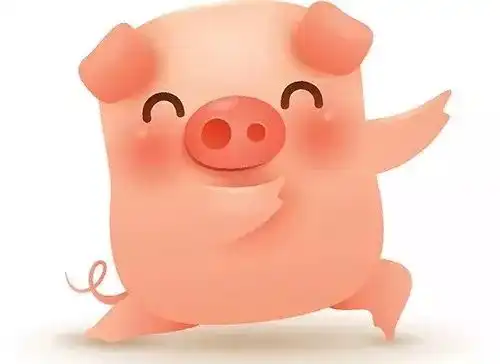 关于猪的n个冷知识,你知道几个
