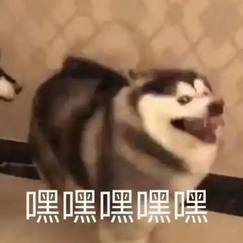 搞笑表情包图片试图让自己冷静
