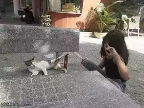 搞笑美女gif图片妹子,下次出门穿件吸汗的衣服,不然一出汗,让人看见那太尴尬了
