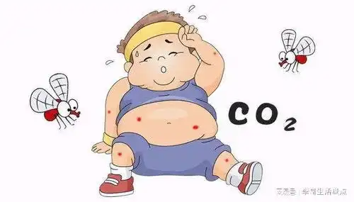 为什么蚊子追着你叮o型血的人容易被叮真实情况刷新认知
