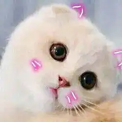 素材

