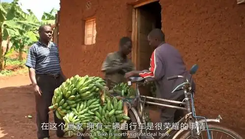 年轻人的新偶像奥德彪,在最穷的国家拉香蕉主站商城论坛自运营登录注册年轻人的新时代偶像奥德彪,挣扎在非洲最穷的国家拉香蕉阿姨王丽2...
