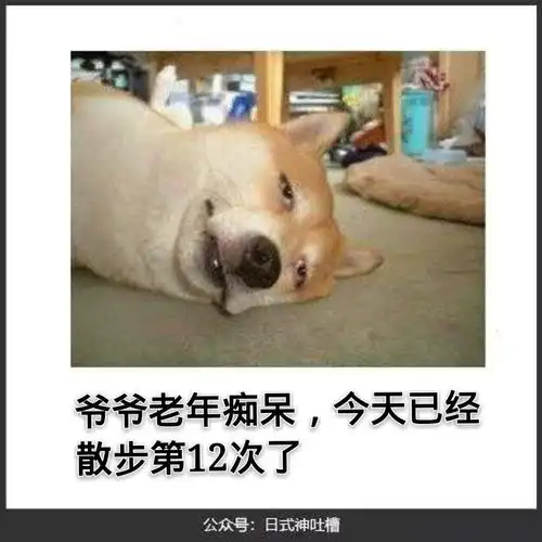 有哪些搞笑的图片
