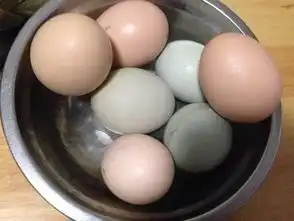 鸡蛋有机的更好吃绿壳鸡蛋更营养
