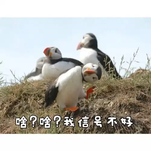 据说,这是你在大学的一天