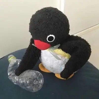 江辞逸奇奇怪怪动物
